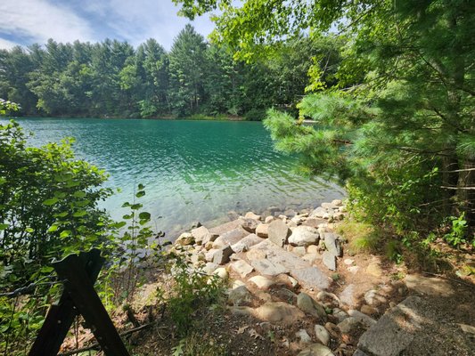 Walden Pond State Reservation by null