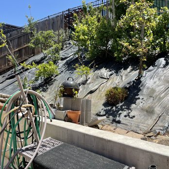 Bernal's Landscaping & Maintenance - 5/7/2022: Bernal's Landscaping & Maintenance performed serious weed abatement! - Landscaping Near Me Bernal's Landscaping & Maintenance - 5/7/2022: Bernal's Landscaping & Maintenance performed serious weed abatement! - Landscaping Near Me