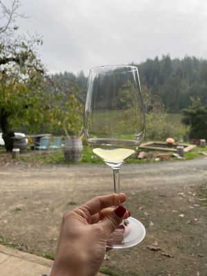 Porter-Bass Winery by null