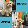 Photo of K-9 Pro Cuts