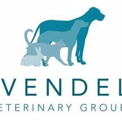 Rivendell Vets