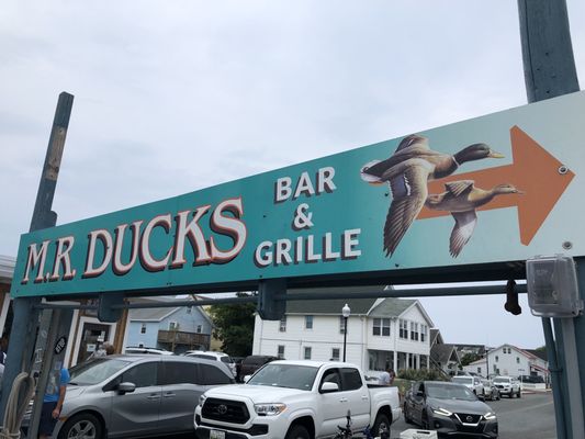 M.R. Ducks by null