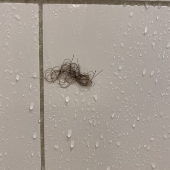 Hotel E - Hair in wet shower - Hotels Near Me - Santa Rosa, California Hotel E - Hair in wet shower - Hotels Near Me - Santa Rosa, California