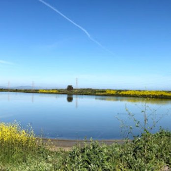 Baylands Park Trail - Parks Near Me - Sunnyvale, California