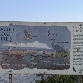Surfers Knoll Beach - Signage on beach - Beaches Near Me - Ventura, California Surfers Knoll Beach - Signage on beach - Beaches Near Me - Ventura, California
