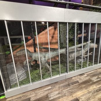 Dinoland - Don't worry, they're caged! - Indoor Playcenter Near Me - Madison Heights, Michigan