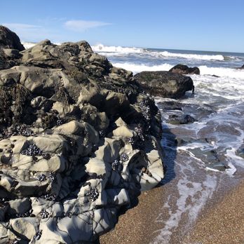 Moonstone Beach - Beaches Near Me - Cambria, California Moonstone Beach - Beaches Near Me - Cambria, California