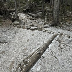 Williams Lake Trail - Fresh snow