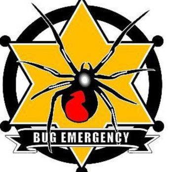 Bug Emergency Pest Control - a spider on a star - Pest Control Near Me Bug Emergency Pest Control - a spider on a star - Pest Control Near Me