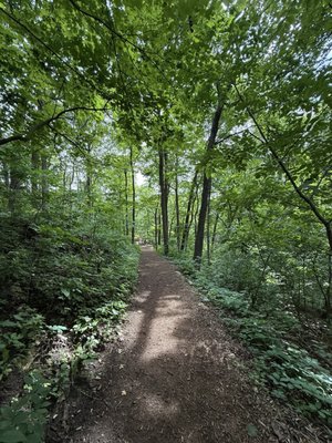 Effigy Mounds National Monument by null