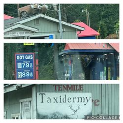 Love a small town where the Feed Store/Taxidermy, Post office and Town store all share the same parking lot