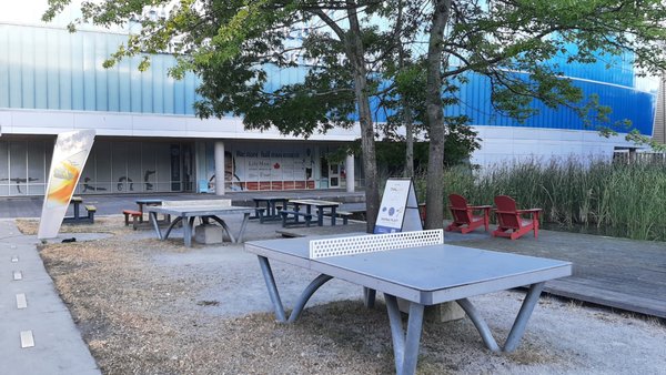 Olympic Experience at Richmond Olympic Oval by null