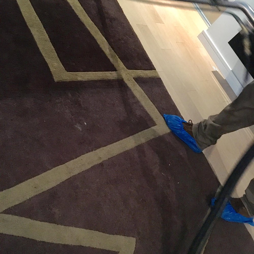 Pro Green Carpet Cleaning - One guys steams the rug... - Carpet Cleaning Near Me - Vancouver, British Columbia Pro Green Carpet Cleaning - One guys steams the rug... - Carpet Cleaning Near Me - Vancouver, British Columbia