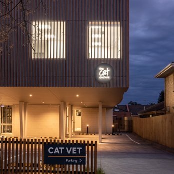 The Cat Doctors - Beautiful at night - Veterinarians Near Me - Caulfield South, VIC The Cat Doctors - Beautiful at night - Veterinarians Near Me - Caulfield South, VIC