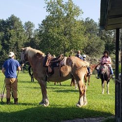 Rock Springs Run Trail Rides