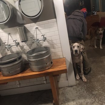 Greenport Harbor Brewing - Outside bathroom sinks- dog friendly place! - Breweries Near Me - Peconic, New York Greenport Harbor Brewing - Outside bathroom sinks- dog friendly place! - Breweries Near Me - Peconic, New York