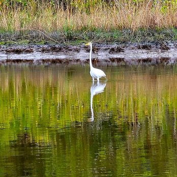 Indian Mound Fish Camp - Birdwatching - Fishing Near Me - Oak Hill, Florida Indian Mound Fish Camp - Birdwatching - Fishing Near Me - Oak Hill, Florida