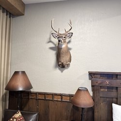 Big Cypress Lodge