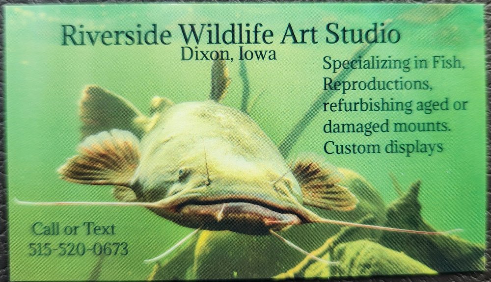 Riverside Wildlife Art - taxidermy in DeWitt, IA
