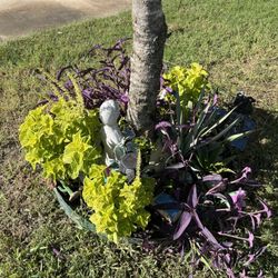 Gallagher Acres Rv Park - I love that we can express ourselves in our lot & yard spaces.