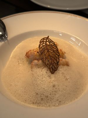 La Bien Aparecida by null