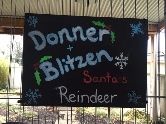 Airfield Estate by null