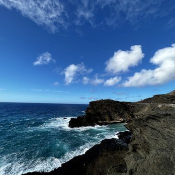 Hawaii Turtle Tours - Tours Near Me - Honolulu, Hawaii