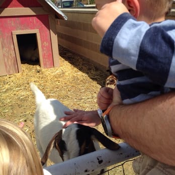 Curiosity Farms - Goats! - Farms Near Me - Lehi, Utah Curiosity Farms - Goats! - Farms Near Me - Lehi, Utah