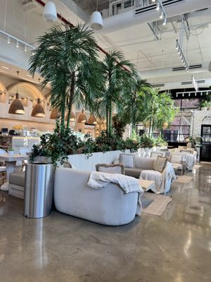 Pura Vida Miami by null