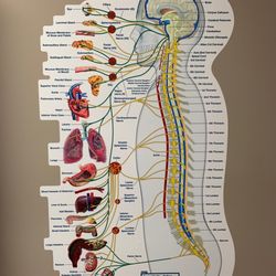 Precision Spinal Care