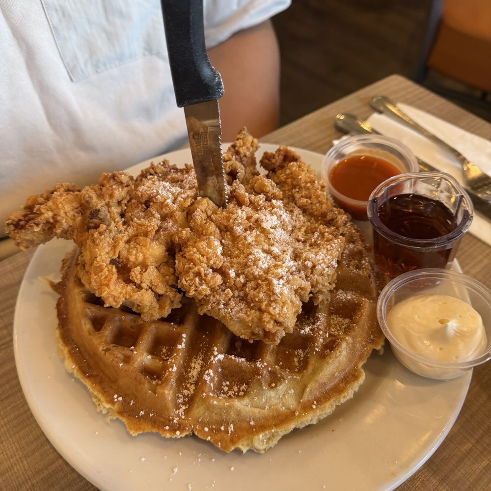 ButtercuP - Chicken N Waffle - American Near Me - Walnut Creek, California ButtercuP - Chicken N Waffle - American Near Me - Walnut Creek, California