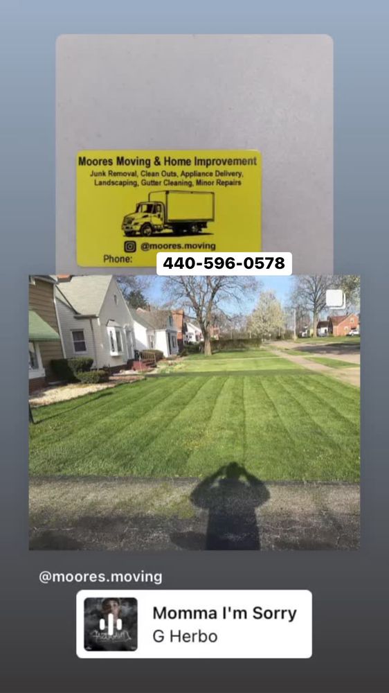 Moore’s Moving and Home Improvement - tree service in Cleveland, OH