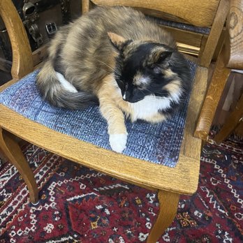 Really Good Stuff - Marci.... - Antiques Near Me - Portland, Oregon Really Good Stuff - Marci.... - Antiques Near Me - Portland, Oregon