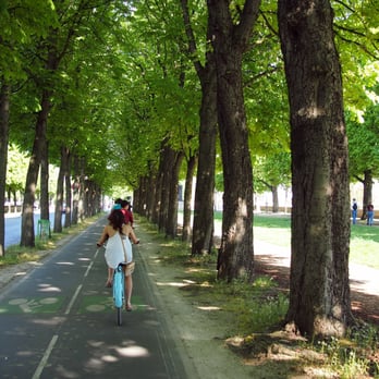 Blue Fox Travel - Along the Cours la Reine - Bike tours Near Me Blue Fox Travel - Along the Cours la Reine - Bike tours Near Me