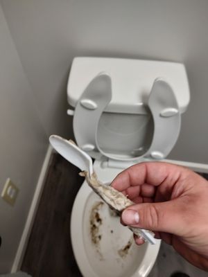 Taylor Maintenance and More Logo