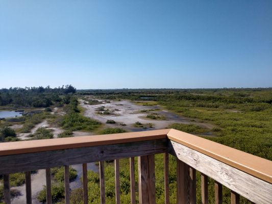 Robinson Preserve by null