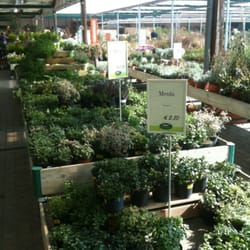 Viridea