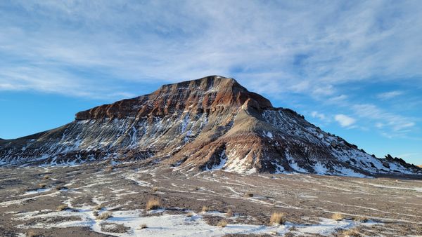 Petrified Forest National Wilderness Area by null