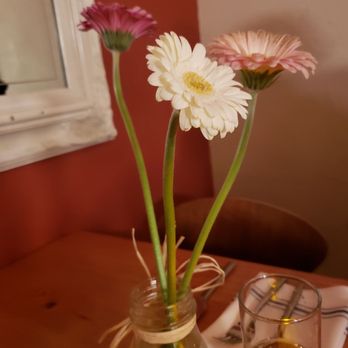Primo Grill - Pretty little flowers they had on the table - Mediterranean Near Me - Tacoma, Washington Primo Grill - Pretty little flowers they had on the table - Mediterranean Near Me - Tacoma, Washington
