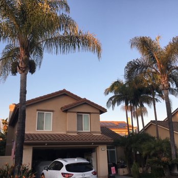 Don Williams Landscape & Trees - Before - Tree Services Near Me - Orange, California