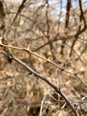 Montezuma Castle National Monument by null