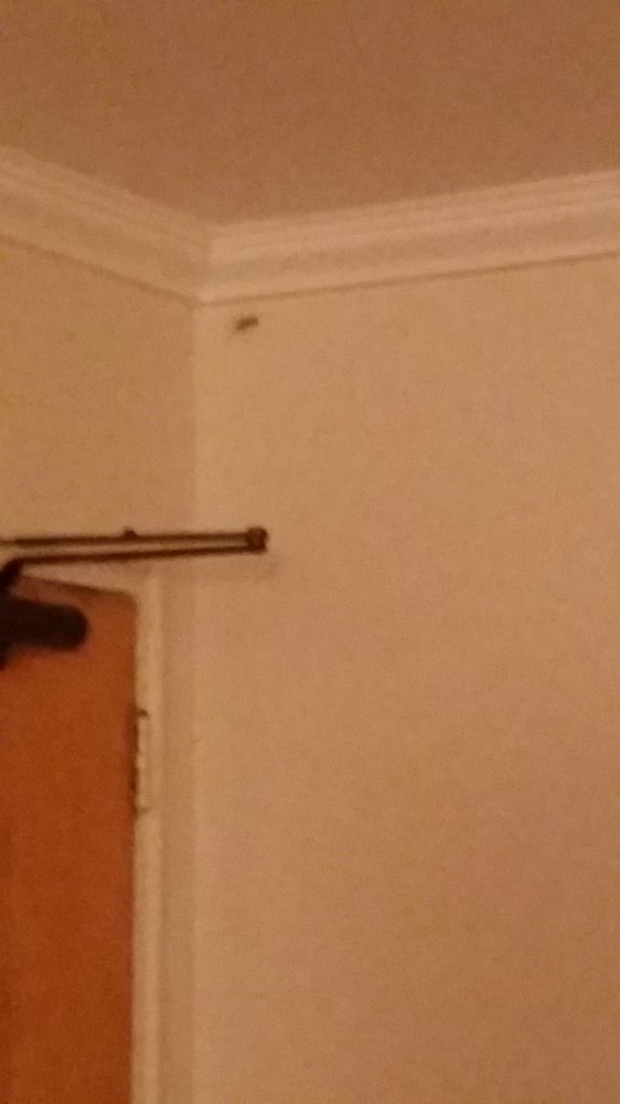 CONTINENTAL GARDENS Updated July 2024 8A Colonial Ct, River Edge