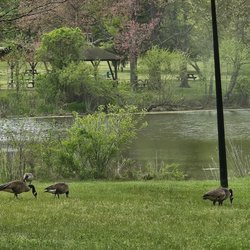 Burba Lake - 04-25-24