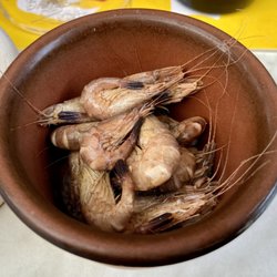 Little shrimps to start