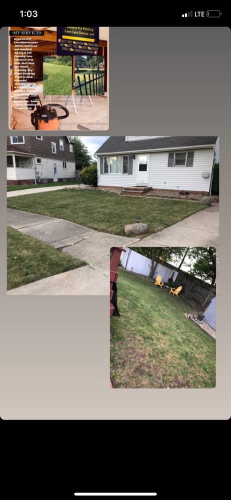 Sanders Pro Painting And Lawn Care - veterans service organization in Cleveland, OH