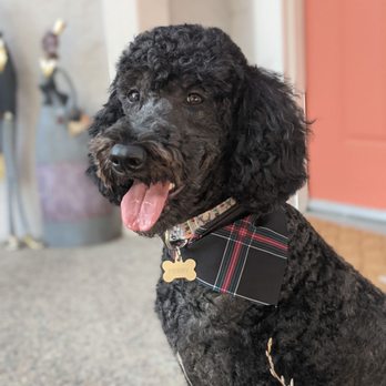 PawSpa Pet Grooming - Pet Groomers Near Me - Antioch, California PawSpa Pet Grooming - Pet Groomers Near Me - Antioch, California