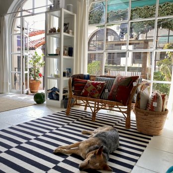 FringeShoppe - Andie, the shop dog taking a nap - Home Decor Near Me - Ventura, California