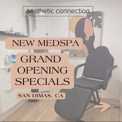 Aesthetic Connection