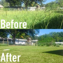 Slice of Lawn
