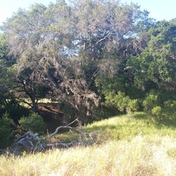 Fernandez Ranch
